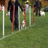 agility 2011-10-30
